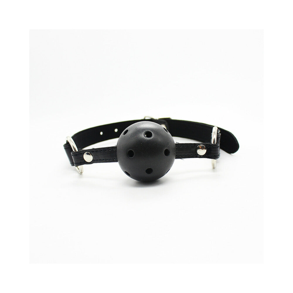 Ple''sur 12-Piece Everything Bondage Kit