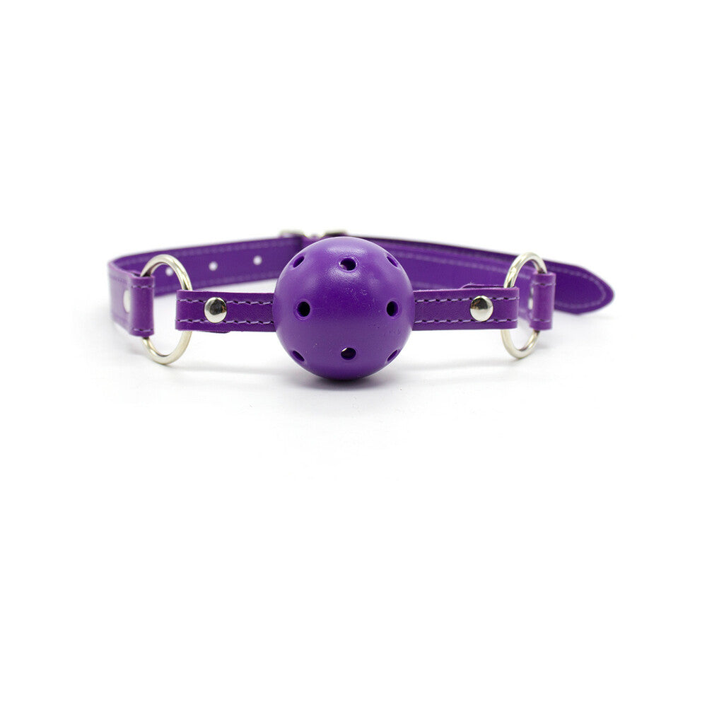 Ple''sur 12-Piece Everything Bondage Kit