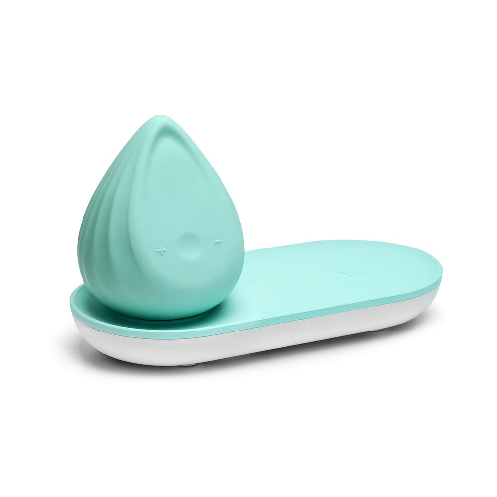 Biird Evii Vibrator