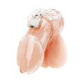 Acrylic See Thru Chastity Cage