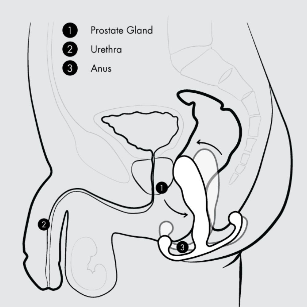 Diagram of the movements of the Aneros Helix Trident when the muscles of the anal sphincter are contracted 