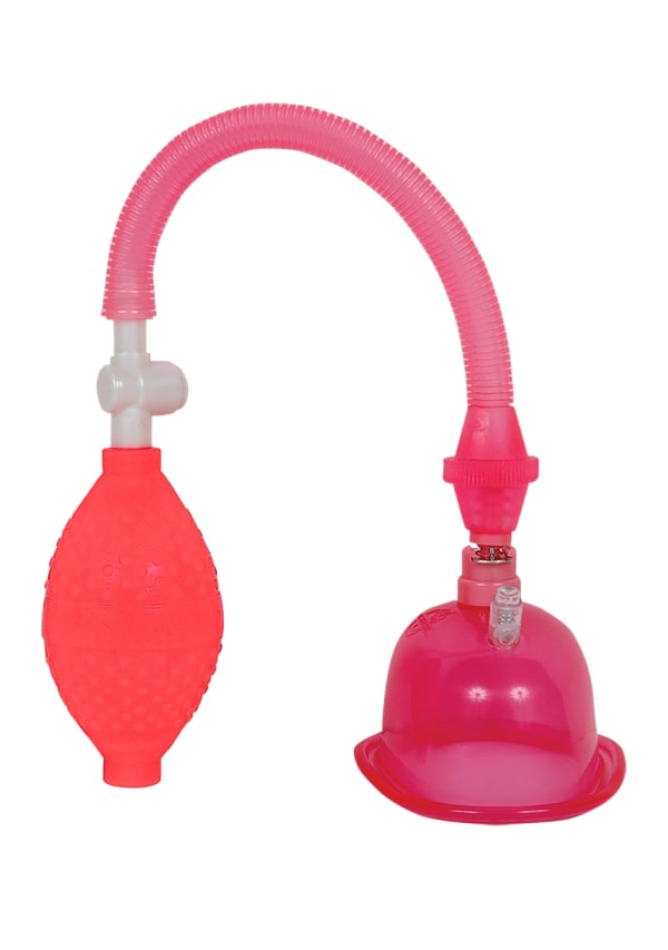 DocJohnsonPussyPumpInABagfrontview