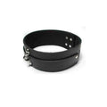 KinkLab Leather Collar