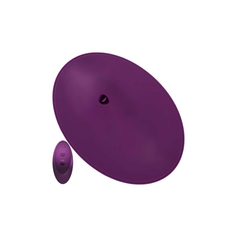 VibePad 2-